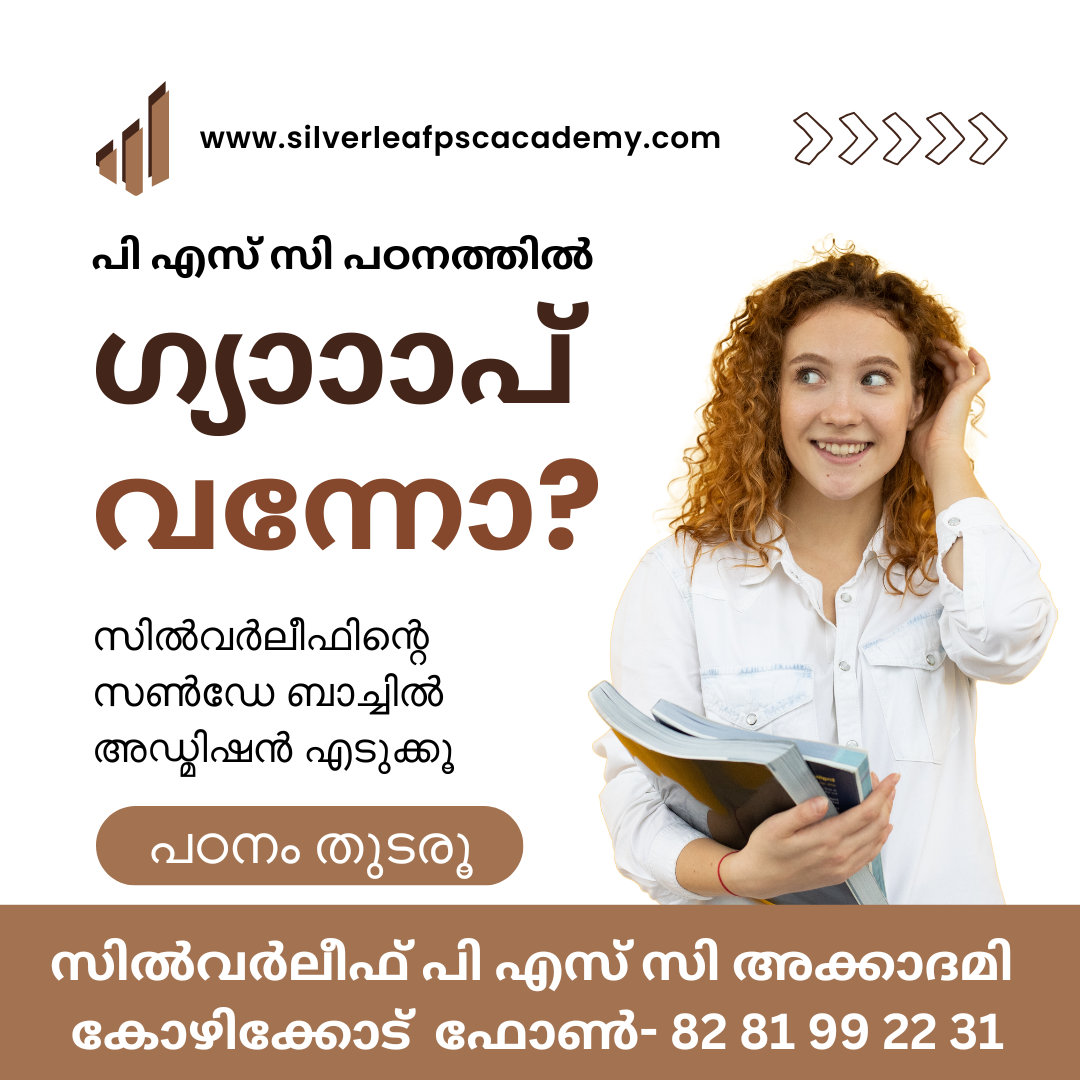 - Advertisement -