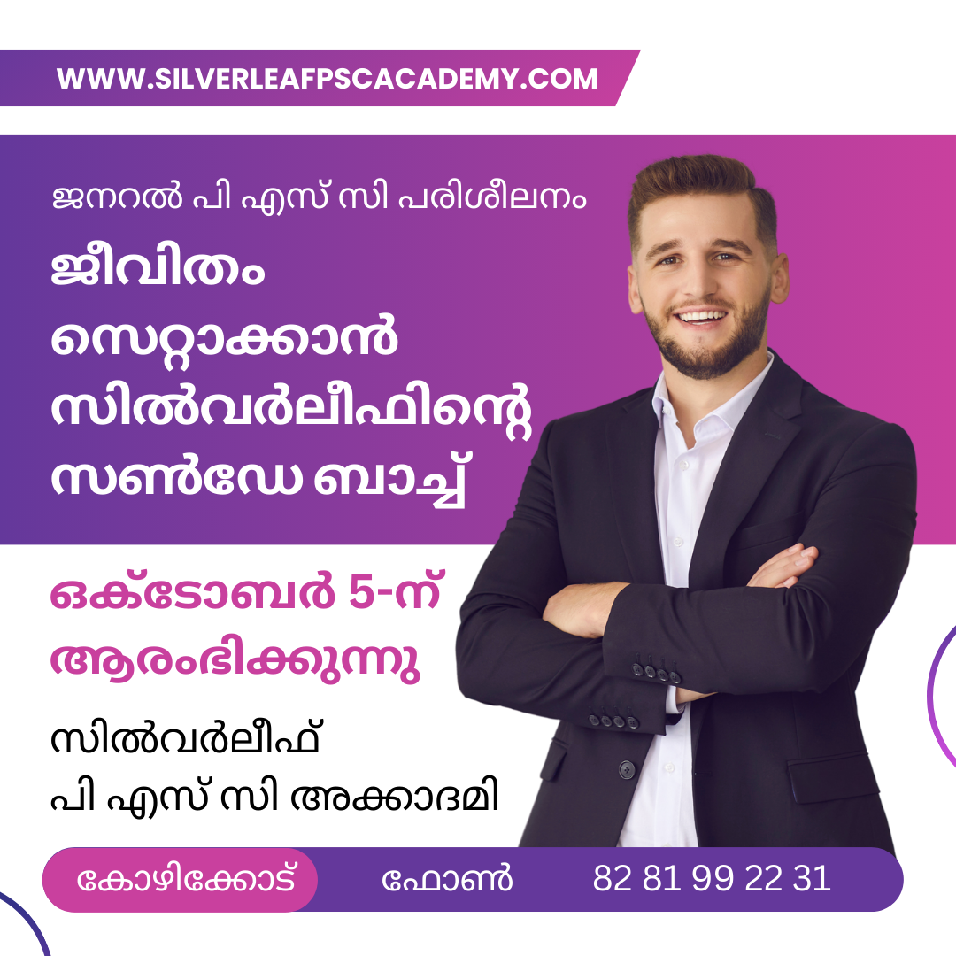 - Advertisement -
