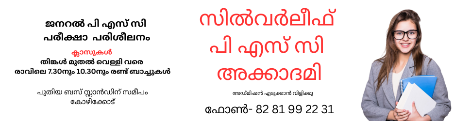 - Advertisement -