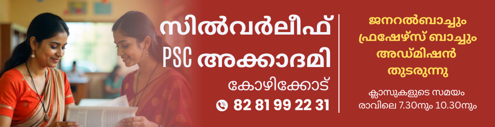 - Advertisement -