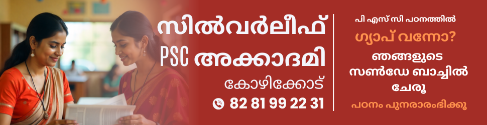 - Advertisement -