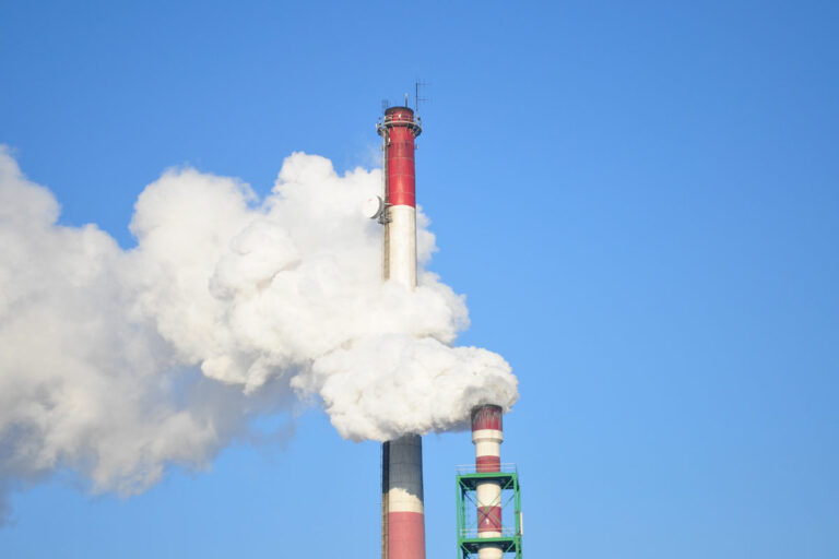 the-online-post-thumb-10