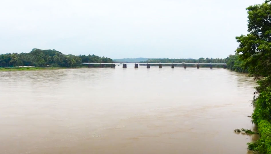 1) പാത്രക്കടവ് പദ്ധതി എവിടെയാണ് കുന്തിപ്പുഴ 2) ഷോളയാര്‍ അണക്കെട്ട് സ്ഥിതി ചെയ്യുന്നത് ചാലക്കുടി പുഴ 3) കേരളത്തില്‍ ഏറ്റവും കൂടുതല്‍ നദികള്‍ ഒഴുകുന്ന ജില്ല കാസര്‍കോട് 4) ചെങ്കുളം പദ്ധതി ഏത് നദിയിലാണ് മുതിരപ്പുഴ 5) കല്‍പ്പാത്തിപ്പുഴ ഏത് നദിയുടെ പോഷക നദിയാണ് ഭാരതപ്പുഴ 6) അരുവിക്കര അണക്കെട്ട് ഏത് നദിയിലാണ് കരമനയാര്‍ 7) ഏത് നദിയുടെ തീരത്താണ് ശ്രീനാരായണഗുരു അരുവിപ്പുറം പ്രതിഷ്ഠ നടത്തിയത് നെയ്യാര്‍ 8) മുതിരപ്പുഴ ഏത് നദിയുടെ പോഷകനദിയാണ് പെരിയാര്‍ 9) തൂതപ്പുഴ ഏത് നദിയുടെ പോഷകനദിയാണ് ഭാരതപ്പുഴ 10) സൈലന്റ് വാലിയിലൂടെ ഒഴുകുന്ന നദി കുന്തിപ്പഴ 11) തേക്കടി വന്യജീവി സങ്കേതം ഏത് നദിയുടെ തീരത്താണ് പെരിയാര്‍ 12) കുറുവ ദ്വീപ് ഏത് നദിയിലാണ് കബനി നദി 13) ആതിരപ്പിള്ളി വെള്ളച്ചാട്ടം ഏത് നദിയിലാണ് ചാലക്കുടിപ്പുഴ 14) ആറന്മുള വള്ളംകളി നടക്കുന്ന നദി പമ്പാനദി 15) മുതിപ്പുഴ, നല്ലതണ്ണി, കുണ്ടള എന്നീ നദികള്‍ സംഗമിക്കുന്ന സ്ഥലം മൂന്നാര്‍ 16) മീനച്ചിലാര്‍ ഏത് ജില്ലയിലെ പ്രധാന നദിയാണ് കോട്ടയം 17) ധര്‍മ്മടം ദ്വീപ് സ്ഥിതി ചെയ്യുന്നത് ഏത് നദിയിലാണ് അഞ്ചരക്കണ്ടിപ്പുഴ 18) കേരളത്തില്‍ കിഴക്കോട്ട് ഒഴുകുന്ന നദികള്‍ കബനി, ഭവാനി, പാമ്പാര്‍ 19) കബനി, ഭവാനി, പാമ്പാര്‍ എന്നി ഏത് നദിയുടെ പോഷകനദികളാണ് കാവേരി 20) കബനി ഏത് സംസ്ഥാനത്തിലേക്ക് ഒഴുകുന്നു കര്‍ണാടക 21) ഭവാനിയും പാമ്പാറും ഏത് സംസ്ഥാനത്തിലേക്ക് ഒഴുകുന്നു തമിഴ്‌നാട് 22) കടലില്‍പ്പതിക്കുന്ന നദികളില്‍ ഏറ്റവും ചെറുത് രാമപുരം പുഴ 23) രാമപുരം പുഴയുടെ നീളം 19 കിലോമീറ്റര്‍ 24) കേരളത്തില്‍ ഏറ്റവും വടക്കേയറ്റത്തെ നദി മഞ്ചേശ്വരം പുഴ 25) കേരളത്തിലെ ഏറ്റവും ചെറിയ നദി മഞ്ചേശ്വരം പുഴ 26) മഞ്ചേശ്വരം പുഴയുടെ ഉത്ഭവസ്ഥാനം ബാലെപ്പൂണി കുന്നുകള്‍ 27) മഞ്ചേശ്വരം പുഴയുടെ പതനസ്ഥാനം ഉപ്പളക്കായല്‍ 28) മഞ്ചേശ്വരം പുഴയുടെ നീളം 17 കിലോമീറ്റര്‍ 29) കേരളത്തിലെ ഏറ്റവും തെക്കേയറ്റത്തുള്ള നദി നെയ്യാര്‍ 30) നെയ്യാറിന്റെ ഉത്ഭവസ്ഥാനം അഗസ്ത്യമല 31) നെയ്യാറിന്റെ പതനസ്ഥാനം അറബിക്കടല്‍ 32) മത്സ്യസമ്പത്ത് ഏറ്റവും കൂടുതലുള്ള കേരളത്തിലെ നദി ചാലക്കുടിപ്പുഴ 33) ചാലക്കുടിപ്പുഴയുടെ പ്രഭവസ്ഥാനം ആനമല 34) ചാലക്കുടിപ്പുഴയിലെ ജലവൈദ്യുത പദ്ധതികള്‍ പെരിങ്ങല്‍ക്കുത്ത്, ഷോളയാര്‍ 35) ചാലക്കുടിപ്പുഴയുടെ പോഷകനദികള്‍ പറമ്പിക്കുളം, ഷോളയാര്‍ 36) കേരളത്തില്‍ ഏറ്റവും കൂടുതല്‍ മലിനീകരിക്കപ്പെട്ട നദി ചാലിയാര്‍ 37) ചാലിയാര്‍പ്പുഴയുടെ മറ്റൊരു പേര് ബേപ്പൂര്‍പ്പുഴ 38) ചാലിയാറിന്റെ പ്രഭവസ്ഥാനം തമിഴ്‌നാട്ടിലെ ഇളമ്പലേരിക്കുന്ന് 39) ചാലിയാറിന്റെ പതനസ്ഥാനം അറബിക്കടല്‍ 40) ചാലിയാറിന്റെ പതന സ്ഥാനത്തെ പട്ടണം ഏത് ഫറോക്ക് 41) ചാലിയാറിന്റെ തീരപ്രദേശങ്ങളില്‍ ഏത് ലോഹത്തിന്റെ സാന്നിദ്ധ്യമാണുള്ളത് സ്വര്‍ണം 42) ഇരുവഞ്ഞിപ്പുഴ, ചെറുപുഴ, കരിമ്പുഴ, ചാലിപ്പുഴ എന്നിവ ഏത് നദിയുടെ പോഷകനദികളാണ് ചാലിയാര്‍ 43) ചാലിയാറിന്റെ നീളം 169 കിലോമീറ്റര്‍ 44) കേരളത്തിലെ നദികളില്‍ നീളത്തില്‍ നാലാം സ്ഥാനമുള്ള നദി ചാലിയാര്‍ 45) പ്രാചീനകാലത്ത് ബാരിസ് എന്ന പേരില്‍ അറിയപ്പെട്ട നദി പമ്പ 46) ദക്ഷിണ ഭാഗീരഥി എന്ന് അറിയപ്പെടുന്ന നദി പമ്പ 47) പമ്പയുടെ പ്രഭവ സ്ഥാനം പുലച്ചിമല 47) പമ്പയുടെ ദാനം എന്നറിയപ്പെടുന്നത് കുട്ടനാട് 48) പമ്പയുടെ നീളം എത്രയാണ് 176 കിലോമീറ്റര്‍ 49) കേരളത്തിലെ നദികളില്‍ നീളത്തില്‍ മൂന്നാം സ്ഥാനത്തുള്ള നദി പമ്പ 50) ശബരിഗിരി പദ്ധതി ഏത് നദിയിലാണ് പമ്പ 51) ഏഷ്യയിലെ ഏറ്റവും വലിയ ക്രൈസ്തവ മതസമ്മേളനമായ മാരാമണ്‍ കണ്‍വെന്‍ഷന്‍ നടക്കുന്നത് ഏത് നദീതീരത്താണ് പമ്പ 52) പ്രസിദ്ധമായ ചെറുകോല്‍പ്പുഴ ഹിന്ദുമത സമ്മേളനം നടക്കുന്നത് ഏത് നദീതീരത്താണ് പമ്പ 53) കല്ലാര്‍, കക്കി, അഴുത, അച്ചന്‍കോവിലാര്‍, മണിമലയാര്‍, വരട്ടാര്‍ എന്നിവ ഏത് നദിയുടെ പോഷകനദികളാണ് പമ്പ 54) മിനിപമ്പ പദ്ധതി ഏത് നദീതീരത്താണ് ഭാരതപ്പുഴ 55) ഭാരതപ്പുഴയുടെ തീരത്തിലെ പ്രസിദ്ധമായ കലാരൂപം തോല്‍പ്പാവക്കൂത്ത് 56) ഭാരതപ്പുഴയുടെ മറ്റൊരു പേര് നിള 57) ഭാരതപ്പുഴയുടെ പതനസ്ഥാനം അറബിക്കടല്‍ 58) ഭാരതപ്പുഴ എവിടെ വച്ചാണ് അറബിക്കടലില്‍ പതിക്കുന്നത് പൊന്നാനി 59) 12 വര്‍ഷത്തിലൊരിക്കല്‍ മാമാങ്കം (മാഘമകം) നടന്നിരുന്ന നദീതീരമേത് ഭാരതപ്പുഴ 60) നിളയുടെ ഇതിഹാസകാരന്‍ എന്നറിയപ്പെടുന്നത് ആരാണ് എം ടി വാസുദേവന്‍ നായര്‍ 61) തൂതപ്പുഴ ഭാരതപ്പുഴയില്‍ പതിക്കുന്ന സ്ഥലം എവിടെ കൂടല്ലൂര്‍ 62) കേരളത്തിലെ ഏറ്റവും വലിയ റഗുലേറ്റര്‍ കം ബ്രിഡ്ജ് ആയ ചമ്രവട്ടം ഏത് നദിയിലാണ് ഭാരതപ്പുഴ 63) കേരളത്തിലെ ഏറ്റവും നീളം കൂടിയ പാലം ചമ്രവട്ടം റഗുലേറ്റര്‍ കം ബ്രിഡ്ജ് 64) ചമ്രവട്ടം റഗുലേറ്റര്‍ കം ബ്രിഡ്ജിന്റെ നീളം 978 മീറ്റര്‍ 65) ഭാരതപ്പുഴയുടേയും പോഷകനദികളുടേയും കുറുകെ കെട്ടിയ അണക്കെട്ടുകളില്‍ ഏറ്റവും വലുത് ഏതാണ് മലമ്പുഴ ഡാം 66) കേരളത്തിലെ ഏറ്റവും വലിയ രണ്ടാമത്തെ റിസര്‍വോയര്‍ (ജലസംഭരണി) ഏതാണ് മലമ്പുഴ അണക്കെട്ട് 67) കേരളത്തിലെ വൃന്ദാവനം എന്നറിയപ്പെടുന്നത് മലമ്പുഴ ഉദ്യാനം 68) കേരളത്തിലെ ഏറ്റവും വിസ്തീര്‍ണമുള്ള നദീതടം ഏത് നദിയുടേതാണ് ഭാരതപ്പുഴ 69) കുന്തിപ്പുഴയുടെ തീരത്ത് ധാരാളമായി കാണപ്പെടുന്ന വൃക്ഷമേതാണ് കുന്തിരിക്ക മരം 70) സൈലന്റ് വാലിക്ക് ആ പേര് നല്‍കിയ ശാസ്ത്രജ്ഞന്‍ ആരാണ് റോബര്‍ട്ട് വൈറ്റ്, ബ്രിട്ടീഷ് സസ്യശാസ്ത്രജ്ഞന്‍ 71) സൈലന്റ് വാലിയിലൂടെ ഒഴുകുന്ന നദി കുന്തിപ്പുഴ 72) ആളിയാറിന് കുറുകെ ആളിയാര്‍ അണക്കെട്ട് നിര്‍മ്മിച്ചത് ഏത് സംസ്ഥാനമാണ് തമിഴ്‌നാട് 73) തമിഴ്‌നാട് പരിപാലിക്കുകയും കേരളത്തിന് ഉടമസ്ഥാവകാശമുള്ളതുമായ അണക്കെട്ട് പറമ്പിക്കുളം അണക്കെട്ട് 74) ശോകനാശിനിപ്പുഴയെന്ന് അറിയപ്പെടുന്നത് കണ്ണാടിപ്പുഴ 75) കണ്ണാടിപ്പുഴയുടെ പ്രഭവസ്ഥാനം ആനമല, പാലക്കാടിന്റെ കിഴക്കന്‍ അതിര്‍ത്തി 76) കണ്ണാടിപ്പുഴയെ ശോകനാശിനിയെന്ന് വിളിച്ചത് എഴുത്തച്ഛന്‍ 77) മലമ്പുഴ, വാളയാര്‍, കോരയാര്‍, വരട്ടാര്‍ എന്നീ പുഴകള്‍ ചേര്‍ന്ന് രൂപംകൊള്ളുന്ന നദി കല്‍പ്പാത്തിപ്പുഴ 78) നിള, പേരാര്‍, പൊന്നാനിപ്പുഴ എന്നീ പേരുകളിലും അറിയപ്പെടുന്ന നദി ഭാരതപ്പുഴ 79) ഭാരതപ്പുഴയുടെ പ്രഭവസ്ഥാനം തമിഴ്‌നാട്ടിലെ ആനമല 80) കേരളത്തില്‍ നീളത്തിലും വലിപ്പത്തിലും രണ്ടാം സ്ഥാനത്തുള്ള നദി ഭാരതപ്പുഴ 81) പെരിയാറിന്റെ മറ്റൊരു പേര് ആലുവാപ്പുഴ 82) കേരളത്തിന്റെ മഞ്ഞനദി കുറ്റ്യാടിപ്പുഴ 83) കേരളത്തിലെ ഇംഗ്ലീഷ് ചാനല്‍ മയ്യഴിപ്പുഴ 84) കരിമ്പുഴ എന്നറിയപ്പെടുന്നത് കടലുണ്ടിപ്പുഴ 85) കേരളത്തിലെ ഗംഗ ഭാരതപ്പുഴ 86) ചിറ്റൂര്‍പ്പുഴ എന്നറിയപ്പെടുന്നത് കണ്ണാടിപ്പുഴ 87) ക്രൈസ്തവ തീര്‍ത്ഥാടന കേന്ദ്രമായ മലയാറ്റൂര്‍ ഏത് നദിയുടെ തീരത്താണ് പെരിയാര്‍ 88) അദ്വൈത ആചാര്യനായ ശ്രീശങ്കരാചാര്യരുടെ ജന്മസ്ഥലമായ കാലടി ഏത് നദിയുടെ തീരത്താണ് പെരിയാര്‍ 89) പെരിയാറിന്റെ ശാഖകള്‍ക്കിടയിലെ വനപ്രദേശത്ത് സ്ഥിതി ചെയ്യുന്ന പക്ഷിസങ്കേതം തട്ടേക്കാട് പക്ഷിസങ്കേതം 90) കേരളത്തിലെ വ്യവസായത്തിന്റെ എത്ര ശതമാനം പെരിയാറിന്റെ തീരത്ത് സ്ഥിതി ചെയ്യുന്നു പെരിയാര്‍ 91) കേരളത്തിന്റെ ജീവരേഖ എന്നറിയപ്പെടുന്ന നദി പെരിയാര്‍ 92) കേരളത്തില്‍ ഏറ്റവും കൂടുതല്‍ ജലവൈദ്യുത പദ്ധതികള്‍ സ്ഥാപിച്ചിരിക്കുന്ന നദിയേത് പെരിയാര്‍ 93) കേരളത്തില്‍ ഏറ്റവും കൂടുതല്‍ വൈദ്യുതി ഉല്‍പാദിപ്പിക്കുന്ന നദി പെരിയാര്‍ 94) കേരളത്തിലെ ഇടുക്കി, എറണാകുളം, തൃശ്ശൂര്‍ ജില്ലകളെ കൂടാതെ തമിഴ്‌നാട്ടിലെ കോയമ്പത്തൂര്‍ പട്ടണത്തിലും ജലസേചനം നടത്തുന്ന നദി പെരിയാര്‍ 95) മംഗലപ്പുഴ, മാര്‍ത്താണ്ഡന്‍പുഴ എന്നിങ്ങനെ രണ്ട് ശാഖകളായി പെരിയാര്‍ പിരിയുന്നത് എവിടെ വച്ചാണ് ആലപ്പുഴ 96) മംഗലപ്പുഴ എളന്തിക്കരയില്‍വച്ച് ഏത് നദിയിലാണ് പതിക്കുന്നത് ചാലക്കുടിപ്പുഴ 97) മാര്‍ത്താണ്ഡന്‍പുഴയുടെ പതനസ്ഥാനം വേമ്പനാട് കായലിന്റെ ഭാഗമായ വരാപ്പുഴ കായല്‍ 98) കേരള ചരിത്രത്തില്‍ സര്‍ക്കാര്‍ ആഭിമുഖ്യത്തിലുള്ള ആദ്യ ജലവൈദ്യുത പദ്ധതിയായ പള്ളിവാസല്‍ സ്ഥാപിച്ചത് എവിടെ മുതിരപ്പുഴ 99) പള്ളിവാസല്‍ ജലവൈദ്യുത പദ്ധതി പ്രവര്‍ത്തനം ആരംഭിച്ചത് 1940 100) പള്ളിവാസല്‍ ജലവൈദ്യുത പദ്ധതിയുടെ നിര്‍മ്മാണം ആരംഭിച്ചത് 1935 101) ഇടുക്കി പദ്ധതിയുടെ പവര്‍ഹൗസ് സ്ഥാപിച്ചിരിക്കുന്നത് മൂലമറ്റം 102) ഇടുക്കി ജലവൈദ്യുത പദ്ധതിയുടെ ശേഷി 780 മെഗാവാട്ട് 103) മുല്ലക്കുടിയില്‍ വച്ച് പെരിയാറില്‍ ചേരുന്ന പോഷകനദി മുല്ലയാര്‍ 104) മുല്ലപ്പെരിയാര്‍ അണക്കെട്ടിന്റെ ഭാഗമായി രൂപം കൊണ്ട തടാകം തേക്കടി തടാകം 105) തേക്കടി വന്യജീവി സങ്കേതത്തിന്റെ ആദ്യ പേര് നെല്ലിക്കാംപെട്ടി വന്യജീവി സങ്കേതം 106) കേരളത്തിലെ ഏറ്റവും ജലസമൃദ്ധമായ നദി പെരിയാര്‍ 107) പെരിയാറിന്റെ ഉത്ഭവസ്ഥാനം എവിടെ സുന്ദരമലയിലെ ശിവഗിരി കൊടുമുടി 106) കേരള സര്‍ക്കാരിന്റെ കണക്ക് അനുസരിച്ച് എത്ര കിലോമീറ്റര്‍ നീളമുള്ള ജലപ്രവാഹങ്ങളെയാണ് നദികളായി പരിഗണിക്കുന്നത് 15 കിലോമീറ്റര്‍ 107) കേരളത്തിലെ ആകെ നദികളുടെ എണ്ണം 44 108) കേരളത്തില്‍ പടിഞ്ഞാറോട്ട് ഒഴുകുന്ന നദികളുടെ എണ്ണം 41 109) കേരളത്തില്‍ കിഴക്കോട്ട് ഒഴുകുന്ന നദികളുടെ എണ്ണം 3 110) കേരളത്തില്‍ എത്ര മീഡിയം നദികള്‍ ഉണ്ട് 4 111) കേരളത്തില്‍ എത്ര മൈനര്‍ നദികള്‍ ഉണ്ട് 40 112) കേരളത്തിലെ നദികളില്‍ മീഡിയം നദികളില്‍പ്പെടുന്നവ് ഏതാണ് പെരിയാര്‍, ഭാരതപ്പുഴ, പമ്പ, ചാലിയാര്‍ 113) കേരളത്തിലെ ഏറ്റവും നീളമുള്ള നദി പെരിയാര്‍ 114) പെരിയാറിന്റെ നീളം എത്രയാണ് 244, kerala psc river questions, kerala psc river, kerala psc river previous year questions