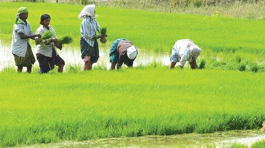 പൊതുവിദ്യാഭ്യാസ സംരക്ഷണ യജ്ഞം ഗുണമേന്‍മയുള്ള വിദ്യാഭ്യാസം കുട്ടികളുടെ അവകാശം എന്ന കാഴ്ച്ചപ്പാടിന് അനുഗുണമായി സംസ്ഥാനത്തെ സ്‌കൂളുകളെ അന്താരാഷ്ട്ര നിലവാരമുള്ള മികവിന്റെ കേന്ദ്രങ്ങളാക്കി മാറ്റുന്നതിന് വിദ്യാഭ്യാസ വകുപ്പിന്റെ കീഴീല്‍ നടപ്പിലാക്കിയ പദ്ധതി റീച്ച് സ്ത്രീകളുടെ തൊഴില്‍മേഖലയിലെ ഉന്നമനത്തിനായി സര്‍ക്കാര്‍ മേഖലയിലുളഅള ഇന്ത്യയിലെ തന്നെ ആദ്യ ഫിനിഷിംഗ് സ്‌കൂളാണ് റീച്ച്. ഐഎസ്ഒ സര്‍ട്ടിഫിക്കേഷന്‍ നേടിയിട്ടുണ്ട്. പ്ലസ് ടു കഴിഞ്ഞ പെണ്‍കുട്ടികള്‍ക്ക് പരിശീലനം നല്‍കി പ്ലേസ്‌മെന്റ് ഉറപ്പാക്കുന്നു. തിരുവനന്തപുരത്തും കണ്ണൂര്‍ പിലാത്തറയിലുമാണ് റീച്ച് സ്ഥിതി ചെയ്യുന്നത്. റസ്‌ക്യൂ ഹോം അനാശാസ്യ പ്രവര്‍ത്തനങ്ങളില്‍ ഏര്‍പ്പെടുകയും സമൂഹത്തില്‍ ഒറ്റപ്പെടുകയും ചെയ്യുന്ന സ്ത്രീകള്‍ക്ക് സംരക്ഷണം നല്‍കി പുനരധിവസിപ്പിക്കുന്ന സ്ഥാപനങ്ങളാണ് റെസ്‌ക്യൂ ഹോമുകള്‍. മലപ്പുറം ജില്ലയിലെ തവനൂരില്‍ പ്രവര്‍ത്തിക്കുന്നു. ഹരിതശ്രീ ജനകീയ പങ്കാളിത്തത്തോടെ നടപ്പാക്കുന്ന വനവല്‍ക്കരണ പദ്ധതി ഹരിത കേരളം മിഷന്‍ ശുചിത്വ-മാലിന്യ സംസ്‌കരണം, മണ്ണ്-ജലസംരക്ഷണം, ജൈവ കൃഷിക്ക് പ്രാമുഖ്യം കൊടുത്തു കൊണ്ടുള്ള കൃഷി വികസനം എന്നീ മൂന്ന് മേഖലകള്‍ക്ക് ഊന്നല്‍ നല്‍കിക്കൊണ്ട് തദ്ദേശസ്വയംഭരണ സ്ഥാപനങ്ങളുടെ നേതൃത്വത്തില്‍ ജനപങ്കാളത്തത്തോടെ നടപ്പാക്കുന്ന പദ്ധതി. സേവാഗ്രാം ഗ്രാമീണര്‍ക്ക് തദ്ദേശസ്വയംഭരണ സ്ഥാപനങ്ങളിലെ സേവനങ്ങള്‍ കൂടുതല്‍ അടുത്തു ലഭ്യമാക്കുന്നതിനുള്ള ജനസേവന കേന്ദ്രമാണ് സേവാഗ്രാം. സേവന 1970 മുതലുള്ള ജനന-മരണ-വിവാഹ രജിസ്‌ട്രേഷന്‍ സര്‍ട്ടിഫിക്കറ്റുകള്‍ ഓണ്‍ലൈന്‍ വഴി നല്‍കുന്ന തദ്ദേശസ്വയംഭരണ വകുപ്പിന്റെ പദ്ധതി. സേഫ് കിറ്റ് ലൈംഗിക അതിക്രമത്തിന് ഇരയാകുന്നവര്‍ക്ക് ആവശ്യമായ മുഴുവന്‍ പരിശോധനകളും നടത്തി, തെളിവിനുവേണ്ട സാമ്പിളുകള്‍ ശാസ്ത്രീയമായി ശേഖരിക്കുന്നതിന് നടപ്പാക്കുന്നു. ആരോഗ്യവകുപ്പും ദേശീയ ആരോഗ്യ മിഷനും ചേര്‍ന്ന് നടപ്പിലാക്കുന്ന പദ്ധതി ഇന്ത്യയില്‍ ആദ്യാണ്. സംസ്ഥാനത്തെ മുഴുവന്‍ ഗൈനക്കോളജിസ്റ്റുമാര്‍ക്കും പരിശീലനം നല്‍കി. സ്റ്റേറ്റ് ഇന്‍ഷ്യേറ്റീവ് ഓണ്‍ ഡിസെബിലിറ്റീസ് വൈകല്യം തടയല്‍, പ്രാരംഭ നിര്‍ണയം, വിദ്യാഭ്യാസം, തൊഴില്‍, പുനരധിവാസം എന്നിവ ലക്ഷ്യമാക്കിയുള്ള പരിപാടി. ജന്മനായുള്ള വൈകല്യം തടയാന്‍ കുട്ടികള്‍ക്ക് സൗജന്യ എംഎംആര്‍ കുത്തിവയ്പ്പും നല്‍കുന്നു. വൈകല്യം നേരത്തെ കണ്ടെത്താന്‍ അങ്കണവാടി പ്രവര്‍ത്തകര്‍ക്ക് പ്രത്യേക പരിശീലനം നല്‍കും. സ്വാശ്രയ ഭിന്നശേഷിയോ, ബുദ്ധിവൈകല്യമോ ഉള്ള കുട്ടികളുടെ മാതാക്കള്‍ക്ക് സ്വയംതൊഴില്‍ കണ്ടെത്താനുള്ള സാമൂഹിക നീതി വകുപ്പിന്റെ ഒറ്റത്തവണ ധനസഹായ പദ്ധതി. സംഘകൃഷി കൃഷി ചെയ്യാന്‍ താല്‍പര്യമുള്ള ഭൂരഹിതരായ അയല്‍ക്കൂട്ട കുടുംബങ്ങള്‍ക്കുള്ള സ്ഥലം പാട്ടത്തിനെടുത്ത് കൃഷി ചെയ്യാനുള്ള അവസരം ഉണ്ടാക്കിയെടുക്കുക എന്നതാണ് സംഘകൃഷിയുടെ ലക്ഷ്യം. സംരംഭകത്വ വികസന ക്ലബ് (ഇഡി ക്ലബ്) വിദ്യാര്‍ത്ഥികളിലും യുവാക്കളിലും സംരംഭകത്വ സ്വഭാവം വളര്‍ത്തിയെടുക്കുക എന്ന ലക്ഷ്യത്തിലാണ് എന്‍ട്രപ്രണര്‍ഷിപ്പ് ഡെവലെപ്‌മെന്റ് ക്ലബ് ആരംഭിച്ചത്. സുവര്‍ണ കേരളം പദ്ധതി നൂതനവും ആരോഗ്യകരവുമായ കൃഷിരീതിയിലൂടെ പച്ചക്കറി രംഗത്ത് സ്വയംപര്യാപ്തത ലക്ഷ്യമാക്കി സഹകരണവകുപ്പ് നടപ്പാക്കുന്ന പദ്ധതി. സുരക്ഷിതാഹാരം- ആരോഗ്യത്തിനാധാരം സുരക്ഷിതാഹാരത്തെക്കുറിച്ച് കുട്ടികളെ ബോധവാന്‍മാരാക്കുന്നതിന്റെ ഭാഗമായി കേരളത്തില്‍ നടപ്പിലാക്കുന്ന പദ്ധതി. സുരക്ഷാ രഥം ഫാക്ടറി തൊഴിലാളികളുടെ ആരോഗ്യം, സുരക്ഷ, ക്ഷേമം എന്നിവ ഉറപ്പാക്കുക എന്ന ലക്ഷ്യത്തോടെ തൊഴിലാളികള്‍ക്ക് അവരവരുടെ ജോലി സ്ഥലത്തെത്തി ആരോഗ്യ വിഷയങ്ങളില്‍ വിവിധ പരിശീലനം നല്‍കുന്നു., kerala psc coaching kozhikode, psc coaching kozhikode, psc, psc coaching silver leaf, minerva coaching center, vendata coaching, lekshya psc coaching center