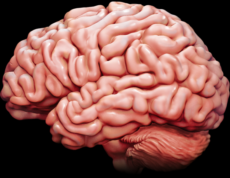 1) സൂര്യപ്രകാശത്തില്‍ സപ്തവര്‍ണങ്ങളുണ്ടെന്ന് കണ്ടെത്തിയ ശാസ്ത്രജ്ഞാന്‍ ന്യൂട്ടണ്‍ 2) സുപ്രീംകോടതി ചീഫ് ജസ്റ്റിസ്, ഉപരാഷ്ട്രപതി, രാഷ്ട്രപതി എന്നീ സ്ഥാനങ്ങളില്‍ ചുമതല നിര്‍വഹിച്ച വ്യക്തി എം ഹിദായത്തുള്ള 3) മൈത്രാകവംശത്തിന്റെ സ്ഥാപകന്‍ ഭട്ടാരകന്‍ 4) സിദ്ധാരന്‍ത്ഥന്റെ കുതിരയുടെ പേര് കാന്തകന്‍ 5) 1930 ഓഗസ്റ്റില്‍ നാഗ്പൂരില്‍ പിന്നാക്ക വിഭാഗക്കാരുടെ അഖിലേന്ത്യാ സമ്മേളനം സ്ഥാപിച്ചത് ബി ആര്‍ അംബേദ്കര്‍ 6) സെന്റ് തോമസ് കപ്പലിറങ്ങിയ സ്ഥലം മാല്യങ്കര, കൊടുങ്ങല്ലൂര്‍ 7) ഗുരുവായൂര്‍ സത്യാഗ്രഹത്തിന് നേതൃത്വം നല്‍കിയത് കെ കേളപ്പന്‍ 8) നൈലോണ്‍ കണ്ടുപിടിച്ചത് ഡബ്ല്യു എച്ച് കരോത്തേഴ്‌സ് 9) സമാധാന നൊബേല്‍ സമ്മാന ജേതാവിനെ നിശ്ചയിക്കുന്നത് നോര്‍വീജിയന്‍ പാര്‍ലമെന്റ് 10) സെര്‍വന്റ്‌സ് ഓഫ് ഗോഡ് എന്ന സംഘടന സ്ഥാപിച്ചത് ഖാന്‍ അബ്ദുള്‍ ഗാഫര്‍ ഖാന്‍ 11) സ്വതന്ത്ര സോഫ്റ്റ് വെയറുകള്‍ക്ക് എടുക്കേണ്ട ലൈസന്‍സ് ജനറല്‍ പബ്ലിക് ലൈസന്‍സ് 12) സത്യജിത് റായിയുടെ തീന്‍കന്യാ എന്ന ചലച്ചിത്രം ആരുടെ കൃതിയെ ആധാരമാക്കിയുള്ളതാണ് രബീന്ദ്രനാഥ് ടാഗോര്‍ 13) ഡെങ്കുപ്പനി പരത്തുന്നത് ഈഡിസ് ഈജപ്റ്റി കൊതുക് 14) ഡൊമിനിക് ലാപ്പിറയറുടെ സിറ്റി ഓഫ് ജോയ് എന്ന കൃതിയില്‍ ഏത് നഗരത്തെപ്പറ്റിയാണ് വിവരിച്ചിരിക്കുന്നത് കൊല്‍ക്കത്ത 15) ലോകത്തേറ്റവും കൂടുതല്‍ കാലം തുടര്‍ച്ചയായി ഭരിച്ച കമ്മ്യൂണിസ്റ്റ് എന്ന വിശേഷണം സ്വന്തമാക്കിയ ഫിഡല്‍ കാസ്‌ട്രോ ഭരിച്ച രാജ്യം ക്യൂബ 16) ഗുരു ഗോബിന്ദ് സിങ് ജനിച്ച സ്ഥലം പാറ്റ്‌ന 17) അവസാനത്തെ സിഖുഗുരു ഗോവിന്ദ് സിങ് 18) ഡെങ്കിപ്പനിക്ക് കാരണം വൈറസ് 19) ജയ്പൂര്‍ നഗരം സ്ഥാപിച്ചത് മഹാരാജാ ജയ്‌സിങ് രണ്ടാമന്‍ 20) ഹൈഡ്രജന്‍ കണ്ടുപിടിച്ചത് കാവന്‍ഡിഷ് 21) ടെസ്റ്റ് ക്രിക്കറ്റില്‍ ആദ്യമായി സെഞ്ച്വറി നേടിയ ഇന്ത്യക്കാരന്‍ ലാലാ അമര്‍നാഥ് 22) ജഹാംഗീര്‍ ജനിച്ചത് ഫത്തേപൂര്‍ സിക്രിയില്‍ 23) സൈമണ്‍ കമ്മിഷന്‍ ഇന്ത്യയില്‍ വന്ന വര്‍ഷം 1928 24) സൗരയൂഥം ഉള്‍പ്പെടുന്ന ഗാലക്‌സി മില്‍ക്കി വേ 25) ബൈബിള്‍ എന്ന വാക്കിന്റെ അര്‍ത്ഥം പുസ്തകം 26) ലോക പൈതൃക പട്ടികയില്‍ ഏറ്റവും കൂടുതല്‍ സ്ഥലങ്ങള്‍ ഉള്ള രാജ്യം ഇറ്റലി 27) ചെമ്മീന്‍ സിനിമയുടെ സംവിധായകന്‍ രാമു കാര്യാട്ട് 28) ലോകത്തിലെ ഏറ്റവും വലിയ പവിഴപ്പുറ്റ് ശൃംഖല ഏത് ഗ്രേറ്റ് ബാരിയര്‍ റീഫ് 29) രവീന്ദ്രനാഥ് ടാഗോര്‍ ഇംഗ്ലീഷിലേക്ക് വിവര്‍ത്തനം ചെയ്ത ഗീതാഞ്ജലിക്ക് അവതാരിക എഴുതിയത് ഡബ്യു ബി യേറ്റ്‌സ് 30) ഗുണ്ടര്‍ട്ടിന്റെ നിഘണ്ടു പ്രസിദ്ധപ്പെടുത്തിയ വര്‍ഷം 1872 31) ഗേറ്റ് വേ ഓഫ് ഇന്ത്യ രൂപകല്‍പ്പന ചെയ്തത് ജോര്‍ജ് വിറ്ററ് 32) തെക്കേ അമേരിക്കയിലെ ഏറ്റവും ഉയരം കൂടിയ കൊടുമുടി അക്കോണ്‍കാഗ്വ 33) സൗരയൂഥത്തിലെ ഉപഗ്രഹങ്ങളില്‍ വലിപ്പത്തില്‍ അഞ്ചാം സ്ഥാനമുള്ളത് ചന്ദ്രന്‍ 34) തെക്കിന്റെ ബ്രിട്ടണ്‍ എന്നറിയപ്പെടുന്ന രാജ്യം ന്യൂസിലന്‍ഡ് 35) കേരളത്തില്‍ പക്ഷിഗ്രാമം എന്നറിയപ്പെടുന്നത് നൂറനാട് 36) പെന്റഗണിന്റെ ആര്‍ക്കിടെക്റ്റ് ജോര്‍ജ് ഇ ബെര്‍ഗ്‌സ്ട്‌റോം 37) സാഹിത്യ നൊബേല്‍ സമ്മാനം നേടിയ ആദ്യ വനിത സെല്‍മ ലാഗര്‍ലോഫ് 38) സെര്‍ജി ഐസന്‍സ്റ്റൈന്‍ ഏത് മേഖലയിലാണ് പ്രശസ്തന്‍ സിനിമാ സംവിധാനം 39) ഗിയാസുദ്ദീന്‍ തുഗ്ലക്കിന്റെ ശവകുടീരം നിര്‍മ്മിച്ചത് മുഹമ്മദ് ബിന്‍ തുഗ്ലക് 40) ലോകസഭയുടെ പിതാവ് എന്നറിയപ്പെടുന്നത് ജി വി മാവ്‌ലങ്കര്‍ 41) ജലത്തിന്റെ കാഠിന്യത്തിന് കാരണം ഏതൊക്കെ മൂലകങ്ങളുടെ ലവണങ്ങളാണ് കാല്‍സ്യം, മഗ്നീഷ്യം 42) ചോര്‍ച്ചാ സിദ്ധാന്തം ആവിഷ്‌കരിച്ചതാര് ദാദാഭായ് നവറോജി 43) ബൊക്കാറോ സ്റ്റീല്‍ പ്ലാന്റ് ഏത് സംസ്ഥാനത്താണ് ജാര്‍ഖണ്ഡ് 44) ലോകസഭയുടെ ക്വാറം 55 അംഗങ്ങള്‍ 45) സോവിയറ്റ് യൂണിയന്റെ സ്ഥാപകന്‍ ലെനിന്‍ 46) സൂര്യനും ചന്ദ്രനും ചുറ്റും വലയങ്ങള്‍ തീര്‍ക്കുന്ന മേഘങ്ങള്‍ സിറോസ് സ്ട്രാറ്റസ് 47) സൗരയൂഥത്തിലെ അംഗങ്ങളില്‍ ആദ്യമുണ്ടായത് സൂര്യന്‍ 48) പ്രാചീന സംസ്‌കൃത സാഹിത്യത്തില്‍ രത്‌നാകര എന്നറിയപ്പെട്ടത് ഇന്ത്യന്‍ മഹാസമുദ്രം 49) സൂര്യനും ഭൂമിയും തമ്മിലുള്ള അകലം ഏറ്റവും കൂടിയ ദിവസം (അപ്ഹീലിയന്‍) ജൂലൈ 4 50) ജഹാംഗീറിന്റെ ശവകുടീരം രവി 51) ഗോല്‍ക്കോണ്ട കോട്ട ഏത് നഗരത്തിലാണ് ഹൈദരാബാദ് 52) ഖേത്രി ചെമ്പുഖനി ഏത് സംസ്ഥാനത്തിലാണ് രാജസ്ഥാന്‍ 53) വ്യാവസായിക വിപ്ലവം അരങ്ങേറിയ വന്‍കര യൂറോപ്പ് 54) ഏറ്റവും ഭാരം കൂടിയ ലോഹമൂലകം ഓസ്മിയം 55) മുസ്ലിംപള്ളികളുടെ നഗരം ധാക്ക 56) വിജയനഗരത്തിലെ ഏറ്റവും മഹാനായ ഭരണാധികാരി കൃഷ്ണദേവരാജയര്‍ 57) മുട്ടയിടുന്ന സസ്തനങ്ങളെ സാധാരണമായി കാണപ്പെടുന്ന വന്‍കര ഓസ്‌ട്രേലിയ 58) എഡി 486-ല്‍ സ്വതന്ത്രമായ ഫ്രാന്‍സിനെ ഏകീകരിച്ചത് ക്ലോവിസ് 59) മുസ്ലിം ലീഗ് സ്ഥാപിതമായ വര്‍ഷം 1906 60) കര്‍ണാടകത്തിലെ കുടകുജില്ലയിലെ ബ്രഹ്‌മഗിരിയില്‍ ഉത്ഭവിക്കുന്ന നദി കാവേരി 61) അടിമ വംശത്തിന്റെ മറ്റൊരു പേര് ഇല്‍ബാരി വംശം 62) മുന്‍ഷി പ്രേംചന്ദിന്റെ യഥാര്‍ത്ഥ നാമം ധന്‍പത് റായി 63) മസ്തിഷ്‌കത്തില്‍ ഓര്‍മ്മ ശക്തിയുടെ ഇരിപ്പിടം സെറിബ്രത്തിലെ കോര്‍ട്ടക്‌സ് 64) മഹാബലിപുരം പട്ടണം നിര്‍മ്മിച്ചതാര് നരസിംഹവര്‍മന്‍ ഒന്നാമന്‍ 65) അഹാര്‍ഡ്‌സ് ഏത് പ്രദേശത്തിന്റെ വികസനവുമായി ബന്ധപ്പെട്ട പദ്ധതിാണ് അട്ടപ്പാടി 66) മഹാരാഷ്ട്രയില്‍ നാസിക് ജില്ലയിലെ ത്രയംബക് ഗ്രാമത്തില്‍ ഉദ്ഭവിക്കുന്ന നദി ഗോദാവരി 67) മിഷണറീസ് ഓഫ് ചാരിറ്റി എന്ന പ്രസ്ഥാനം ആരംഭിച്ചത് മദര്‍ തെരേസ 68) ഔറംഗസീബിനാല്‍ വധിക്കപ്പെട്ട സിഖുഗുരു തേജ് ബഹാദൂര്‍ 69) എല്ലോറയിലെ കൈലാസനാഥ ക്ഷേത്രം നിര്‍മ്മിച്ച രാഷ്ട്രകൂട രാജാവ് കൃഷ്ണന്‍ ഒന്നാമന്‍ 70) മഹമൂദ് ഗസ്‌നിയുടെ പിതാവ് സബുക്തിജിന്‍ 71) വിക്ടോറിയ തടാകം ഏത് വന്‍കരയിലാണ് ആഫ്രിക്ക 72) അഹമ്മദ് ഷാ അബ്ദാലി ഇന്ത്യ ആക്രമിച്ചപ്പോള്‍ മുഗള്‍ ഭരണാധികാരി ഷാ ആലം രണ്ടാമന്‍ 73) മണ്ണെണ്ണയില്‍ സൂക്ഷിച്ചുവയ്ക്കുന്ന ലോഹങ്ങള്‍ സോഡിയം, പൊട്ടാസ്യം 74) അടയിരിക്കുന്ന അച്ഛന്‍ എന്നറിയപ്പെടുന്ന പക്ഷി ഒട്ടകപക്ഷി 75) എല്ലോറ ഗുഹകള്‍ ഏത് സംസ്ഥാനത്താണ് മഹാരാഷ്ട്ര 76) മുസ്ലിങ്ങളുടെ എണ്ണത്തില്‍ ലോകത്ത് ഇന്ത്യയുടെ സ്ഥാനം രണ്ട് 77) ഏനീഡ് എന്ന മഹാകാവ്യം രചിച്ചത് വിര്‍ജില്‍ 78) ഏറ്റവും പഴക്കമുള്ള പുഷ്പം മഗ്നോലിയ 79) ഏഞ്ചല്‍ വെള്ളച്ചാട്ടം ഏത് നദിയിലാണ് കരോണി 80) മുസ്ലിംലീഗിന്റെ ശാഖ കേരളത്തില്‍ പ്രവര്‍ത്തനം ആരംഭിച്ച വര്‍ഷം 1917 81) ഏറ്റവും പ്രായംകുറഞ്ഞ രാഷ്ട്രപതി നീലം സഞ്ജീവ റെഡ്ഡി 82) മുണ്ടിനീര്‍ എന്ന രോഗം ബാധിക്കുന്ന ശരീരാവയവം ഉമിനീര്‍ ഗ്രന്ഥി 83) ഡ്രീംസ് ഫ്രം മൈ ഫാദര്‍ ആരുടെ ആത്മകഥയാണ് ബരാക് ഒബാമ 84) ആധുനിക വൈദ്യ ശാസ്ത്രത്തിന്റെ പിതാവ് ഹിപ്പോക്രാറ്റസ് 85) ശബരി ഏതിന്റെ പോഷകനദിയാണ് ഗോദാവരി 86) കര്‍ണാടകത്തിലെ ഗംഗാവംശത്തിന്റെ തലസ്ഥാനം കോലാര്‍ 87) ഏറ്റവും ആഴത്തില്‍ മുങ്ങാന്‍ കഴിവുള്ള പക്ഷി പെന്‍ഗ്വിന്‍ 88) മുല്ലപ്പെരിയാര്‍ കേരളത്തിലെ ഏത് ജില്ലയിലാണ് ഇടുക്കി 89) എവിടെ വച്ചാണ് എബ്രഹാം ലിങ്കണ്‍ വധിക്കപ്പെട്ടത് വാഷിംഗ്ടണ്‍ ഡി സി 90) മുന്‍പേ പറക്കുന്ന പക്ഷികള്‍ രചിച്ചത് സി രാധാകൃഷ്ണന്‍ 91) കര്‍ണാടക സംഗീതത്തിലെ അടിസ്ഥാന രാഗങ്ങള്‍ 74 92) അക്ബര്‍ ബൈറാംഖാന്റെ റീജന്‍സി അവസാനിപ്പിച്ച വര്‍ഷം 1560 93) വിക്രം സേത്ത് രചിച്ച പദ്യത്തിലുള്ള നോവല്‍ ദി ഗോള്‍ഡന്‍ ഗേറ്റ് 94) മഹാരാഷ്ട്രയിലെ പെന്‍സിലിലന്‍ ഫാക്ടറി എവിടെയാണ് പിംപ്രി 95) മലയാളി മെമ്മോറിയല്‍ ശ്രീമൂലം തിരുനാള്‍ രാജാവിന് സമര്‍പ്പിക്കപ്പെട്ട വര്‍ഷം 1891 96) കര്‍ണാടക സംഗീത പഠനത്തിലെ അടിസ്ഥാന രാഗം മായാമാളവഗൗളം 97) ട്രാവന്‍കൂര്‍ ടൈറ്റാനിയം എവിടെയാണ് തിരുവനന്തപുരം 98) മുംബൈയിലെ പ്രിന്‍സ് ഓഫ് വെയില്‍സ് മ്യൂസിയം രൂപകല്‍പന ചെയ്തത് ജോര്‍ജ് വിറ്ററ്റ് 99) മനുഷ്യന്റെ ഒരു വൃക്കയുടെ ശരാശരി ഭാഗം 130 ഗ്രാം 100) ഇന്ത്യന്‍ ദേശീയ പ്രസ്ഥാനത്തിന്റെ പിതാവ് എന്ന് വിശേഷിപ്പിക്കുന്നതാരെയാണ് സുരേന്ദ്രനാഥ് ബാനര്‍ജി