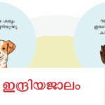 സയൻസ്: അധ്യായം 7 ഇന്ദ്രിയജാലം, kozhikode psc coaching center, calicut psc coaching center, xylem psc kozhikode, xylem psc exam batch, xylem psc calicut, psc exam, xylem kozhikode location, xylem psc kozhikode location, xylem psc calicut location,