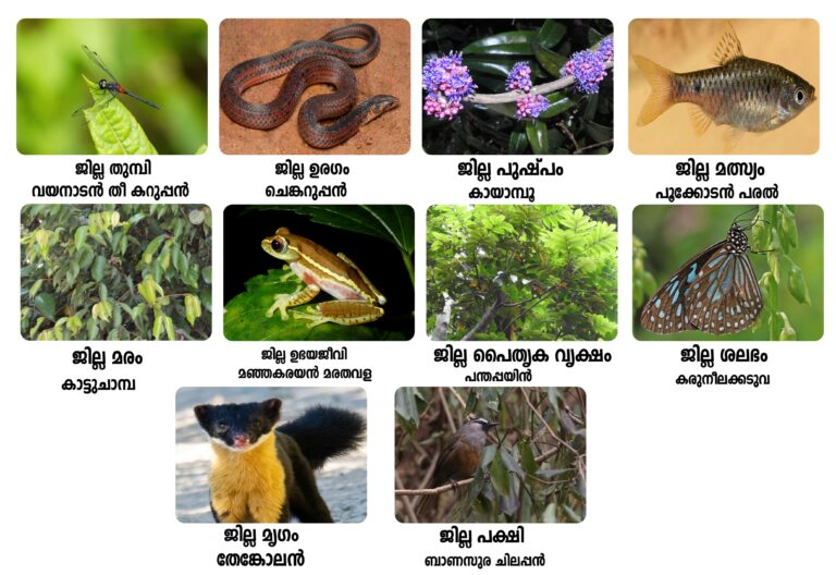 വയനാട് ജില്ല്ക്ക് സ്വന്തം മൃഗം മുതല്‍ ഉരഗം വരെ പ്രഖ്യാപിച്ചു, Kerala PSC Kerala PSC exams KPSC Kerala Public Service Commission Kerala PSC notification Kerala PSC Last Grade Servant (LGS) Kerala PSC Village Field Assistant (VFA) Kerala PSC Lower Division Clerk (LDC) Kerala PSC University Assistant Kerala PSC Women Police Constable Kerala PSC Civil Police Officer Kerala PSC Junior Instructor Kerala PSC Assistant Grade Officer Kerala PSC syllabus Kerala PSC previous question papers Kerala PSC study material Kerala PSC mock test Kerala PSC online preparation Kerala PSC Renaissance questions Kerala PSC Kerala history Kerala PSC current affairs Kerala PSC online application Kerala PSC notification 2025 Kerala PSC hall ticket Kerala PSC result Kerala PSC answer key Kerala PSC rank list Kerala PSC profile registration Kerala PSC thulasi login Kerala PSC preparation tips How to prepare for Kerala PSC Kerala PSC exam pattern Best books for Kerala PSC Kerala PSC coaching centers Kerala PSC one time registration Kerala PSC cut off marks Kerala PSC upcoming exams LGS exam Last Grade Servant exam Kerala PSC LGS LGS notification KPSC LGS exam LGS exam syllabus LGS previous question papers LGS study material LGS mock test LGS online test LGS exam preparation LGS question bank LGS practice questions LGS exam notification 2025 LGS online application LGS exam date LGS hall ticket LGS result LGS answer key LGS rank list LGS cut off marks LGS General Knowledge questions LGS English questions LGS Malayalam questions LGS arithmetic questions LGS current affairs LGS Kerala Renaissance LGS Kerala history questions LGS previous year papers with answers How to prepare for LGS exam LGS exam pattern and marking scheme Best books for LGS preparation LGS exam tips and tricks LGS qualifying marks LGS exam difficulty level LGS coaching classes LGS study plan LGS exam time duration LGS exam eligibility criteria LGS exam Kerala LGS exam centers in Kerala LGS jobs in Kerala LGS vs LDC exam LGS salary and benefits LGS job profile Kerala PSC coaching centre Kozhikode PSC coaching Kozhikode Kerala PSC classes Kozhikode Best PSC coaching in Kozhikode KPSC coaching Kozhikode PSC coaching Calicut Kerala PSC institute Kozhikode PSC training centre Kozhikode PSC academy Kozhikode Kozhikode PSC coaching PSC coaching near me Kozhikode LGS coaching Kozhikode LDC coaching Kozhikode VFA coaching Kozhikode University Assistant coaching Kozhikode Police Constable coaching Kozhikode Civil excise officer coaching Kozhikode Online PSC coaching Kozhikode Offline PSC classes Kozhikode PSC crash course Kozhikode PSC weekend batch Kozhikode PSC test series Kozhikode PSC mock test Kozhikode Best Kerala PSC coaching centre in Kozhikode Top 10 PSC coaching in Kozhikode Affordable PSC coaching Kozhikode PSC coaching fees in Kozhikode PSC coaching with accommodation Kozhikode Success rate PSC coaching Kozhikode Experienced PSC faculty Kozhikode PSC coaching Mavoor Road Kozhikode PSC coaching Palayam Kozhikode PSC coaching Medical College Kozhikode PSC coaching Eranhipalam PSC coaching Nadakkavu PSC coaching Meenchanda PSC coaching centres in Kozhikode comparison Reviews of PSC coaching Kozhikode Which is the best PSC coaching in Kozhikode PSC coaching with study material Kozhikode PSC coaching with previous papers Kozhikode PSC coaching with hostel facility Kozhikode Small batch PSC coaching Kozhikode Join PSC coaching Kozhikode Admission open PSC coaching Kozhikode Enroll PSC classes Kozhikode